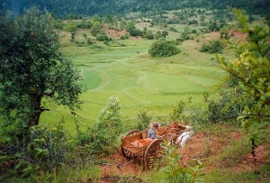 shan_state
