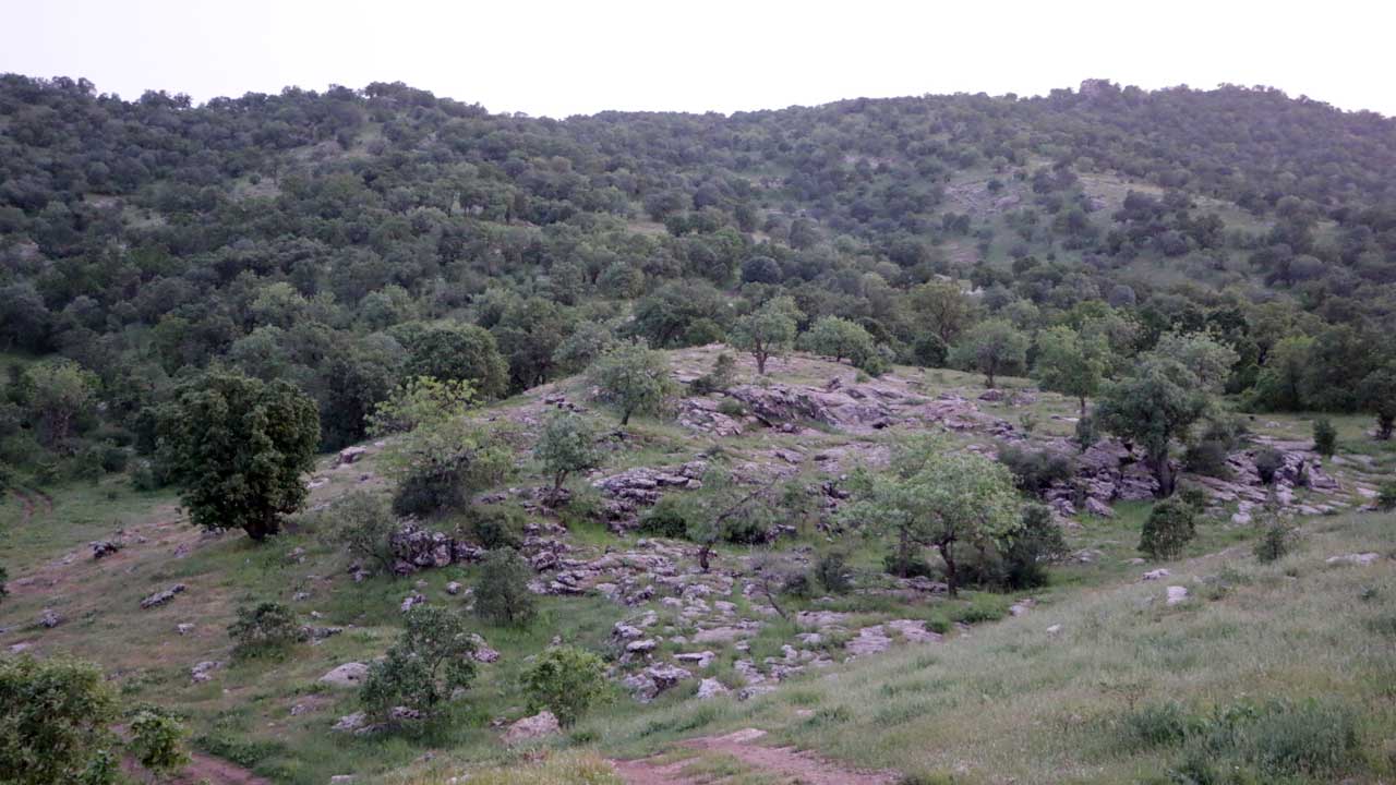 Chamma Rabatka landscape